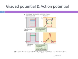 Graded potential & Action potential
13

12/11/2013

 