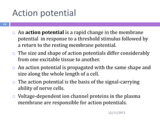 Action potential
14











An action potential is a rapid change in the membrane
potential in response to a threshold stimulus followed by
a return to the resting membrane potential.
The size and shape of action potentials differ considerably
from one excitable tissue to another.
An action potential is propagated with the same shape and
size along the whole length of a cell.
The action potential is the basis of the signal-carrying
ability of nerve cells.
Voltage-dependent ion channel proteins in the plasma
membrane are responsible for action potentials.
12/11/2013

 