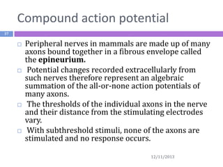 Compound action potential
37









Peripheral nerves in mammals are made up of many
axons bound together in a fibrous envelope called
the epineurium.
Potential changes recorded extracellularly from
such nerves therefore represent an algebraic
summation of the all-or-none action potentials of
many axons.
The thresholds of the individual axons in the nerve
and their distance from the stimulating electrodes
vary.
With subthreshold stimuli, none of the axons are
stimulated and no response occurs.
12/11/2013

 