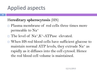 Applied aspects
40

Hereditary spherocytosis (HS)
 Plasma membrane of red cells three times more
permeable to Na+
 The level of Na+,K+-ATPase elevated.
 When HS red blood cells have sufficient glucose to
maintain normal ATP levels, they extrude Na+ as
rapidly as it diffuses into the cell cytosol. Hence
the red blood cell volume is maintained.
12/11/2013

 