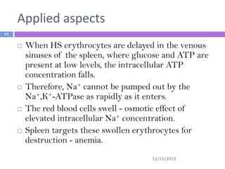 Applied aspects
41









When HS erythrocytes are delayed in the venous
sinuses of the spleen, where glucose and ATP are
present at low levels, the intracellular ATP
concentration falls.
Therefore, Na+ cannot be pumped out by the
Na+,K+-ATPase as rapidly as it enters.
The red blood cells swell - osmotic effect of
elevated intracellular Na+ concentration.
Spleen targets these swollen erythrocytes for
destruction - anemia.
12/11/2013

 