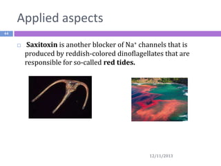 Applied aspects
44



Saxitoxin is another blocker of Na+ channels that is
produced by reddish-colored dinoflagellates that are
responsible for so-called red tides.

12/11/2013

 