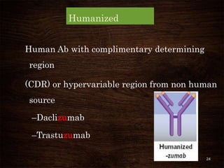 Human Ab Cd R monoclonal antibodies in therapeutics | PPTX