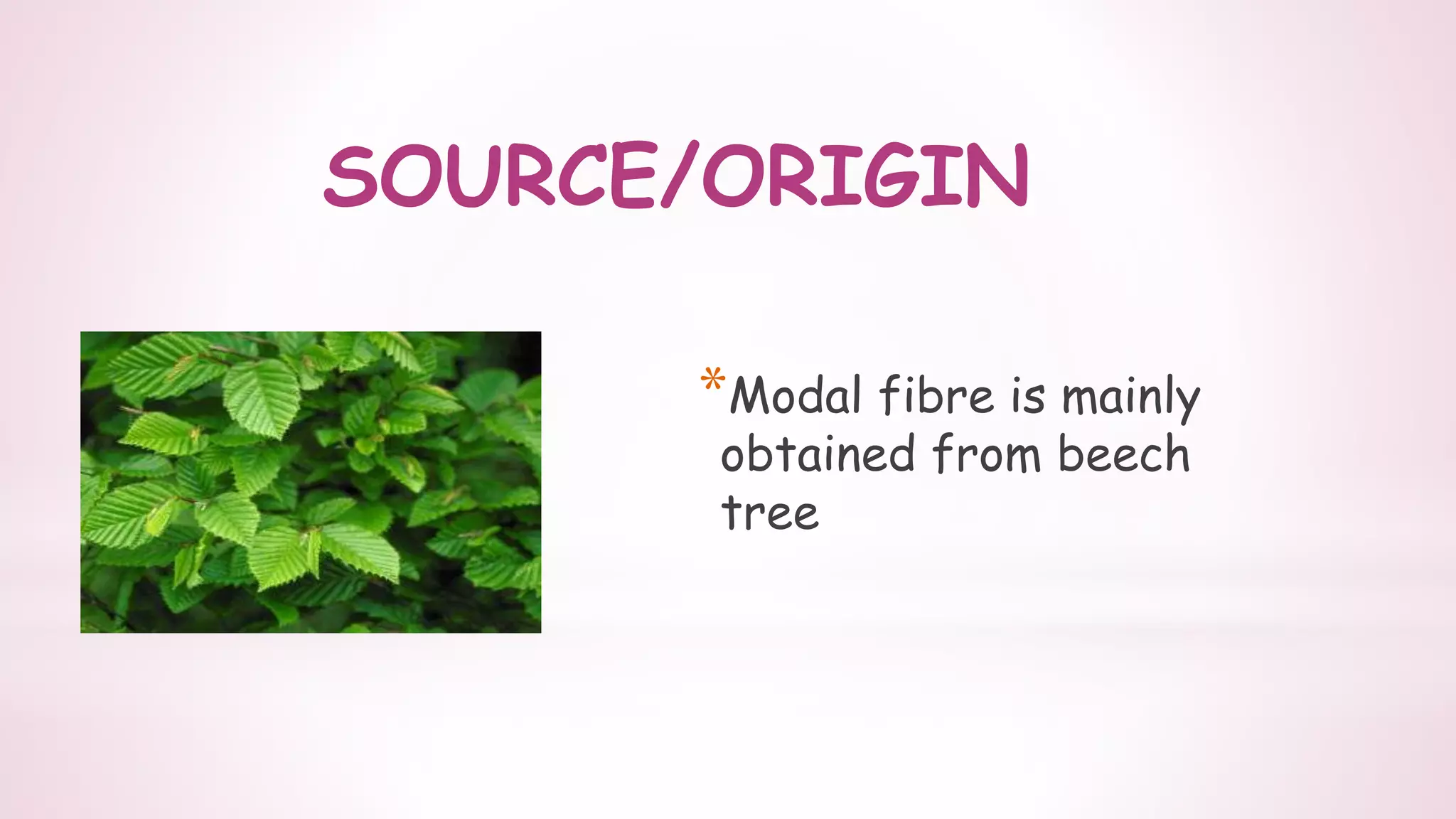 SOURCE/ORIGIN
*Modal fibre is mainly
obtained from beech
tree
 