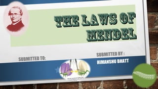 THE LAWS OF 
MENDEL 
SUBMITTED TO: SUBMITTED BY : 
HIMANSHU BHATT 
 