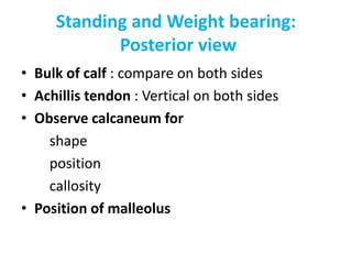 Standing and Weight bearing:
Posterior view
• Bulk of calf : compare on both sides
• Achillis tendon : Vertical on both sides
• Observe calcaneum for
shape
position
callosity
• Position of malleolus
 