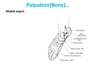 Palpation(Bony)…
Medial aspect
 