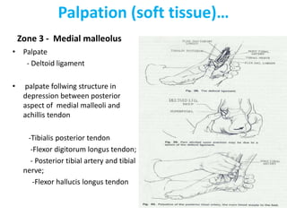 Palpation (soft tissue)…
Zone 3 - Medial malleolus
• Palpate
- Deltoid ligament
• palpate follwing structure in
depression between posterior
aspect of medial malleoli and
achillis tendon
-Tibialis posterior tendon
-Flexor digitorum longus tendon;
- Posterior tibial artery and tibial
nerve;
-Flexor hallucis longus tendon
 