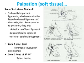 Palpation (soft tissue)…
Zone 5 – Lateral Malleoli
• 3 clinically important
ligaments, which comprise the
lateral collateral ligaments of
the ankle joint . From anterior
to posterior, they are:
-Anterior talofibular ligament
-Calcaneofibular ligament
-Posterior talofibular ligament
• Zone 6 sinus tarsi
commonly involved in
ankle sprain
• Zone 7 head of 5th MT
Tailors bunion
 