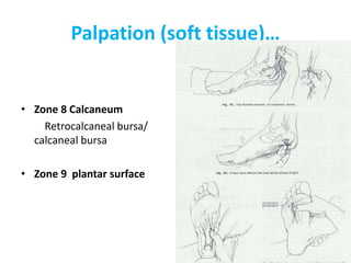 Palpation (soft tissue)…
• Zone 8 Calcaneum
Retrocalcaneal bursa/
calcaneal bursa
• Zone 9 plantar surface
 