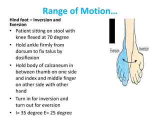 Range of Motion…
Hind foot – Inversion and
Eversion
• Patient sitting on stool with
knee flexed at 70 degree
• Hold ankle firmly from
dorsum to fix talus by
dosiflexion
• Hold body of calcaneum in
between thumb on one side
and index and middle finger
on other side with other
hand
• Turn in for inversion and
turn out for eversion
• I= 35 degree E= 25 degree
 