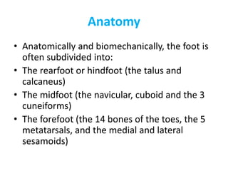 Anatomy
• Anatomically and biomechanically, the foot is
often subdivided into:
• The rearfoot or hindfoot (the talus and
calcaneus)
• The midfoot (the navicular, cuboid and the 3
cuneiforms)
• The forefoot (the 14 bones of the toes, the 5
metatarsals, and the medial and lateral
sesamoids)
 