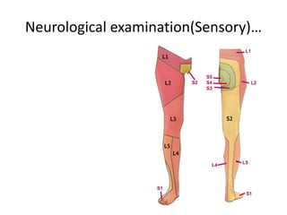 Neurological examination(Sensory)…
 
