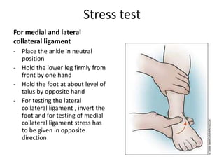 Stress test
For medial and lateral
collateral ligament
- Place the ankle in neutral
position
- Hold the lower leg firmly from
front by one hand
- Hold the foot at about level of
talus by opposite hand
- For testing the lateral
collateral ligament , invert the
foot and for testing of medial
collateral ligament stress has
to be given in opposite
direction
 