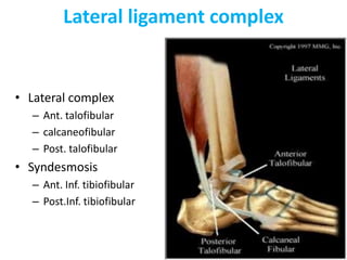 Lateral ligament complex
• Lateral complex
– Ant. talofibular
– calcaneofibular
– Post. talofibular
• Syndesmosis
– Ant. Inf. tibiofibular
– Post.Inf. tibiofibular
 