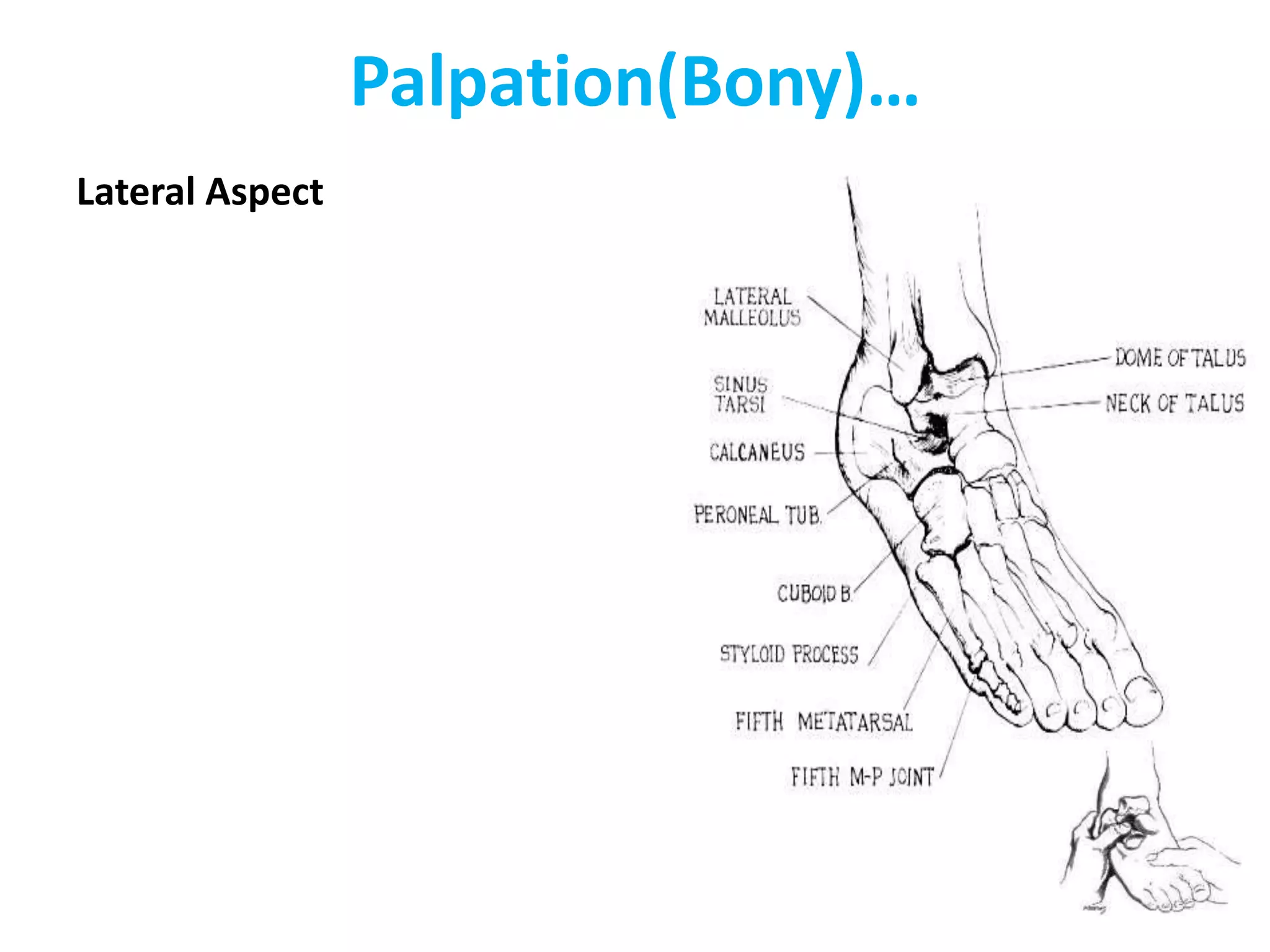 examination of foot and ankle | PPTX