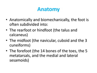 examination of foot and ankle | PPT