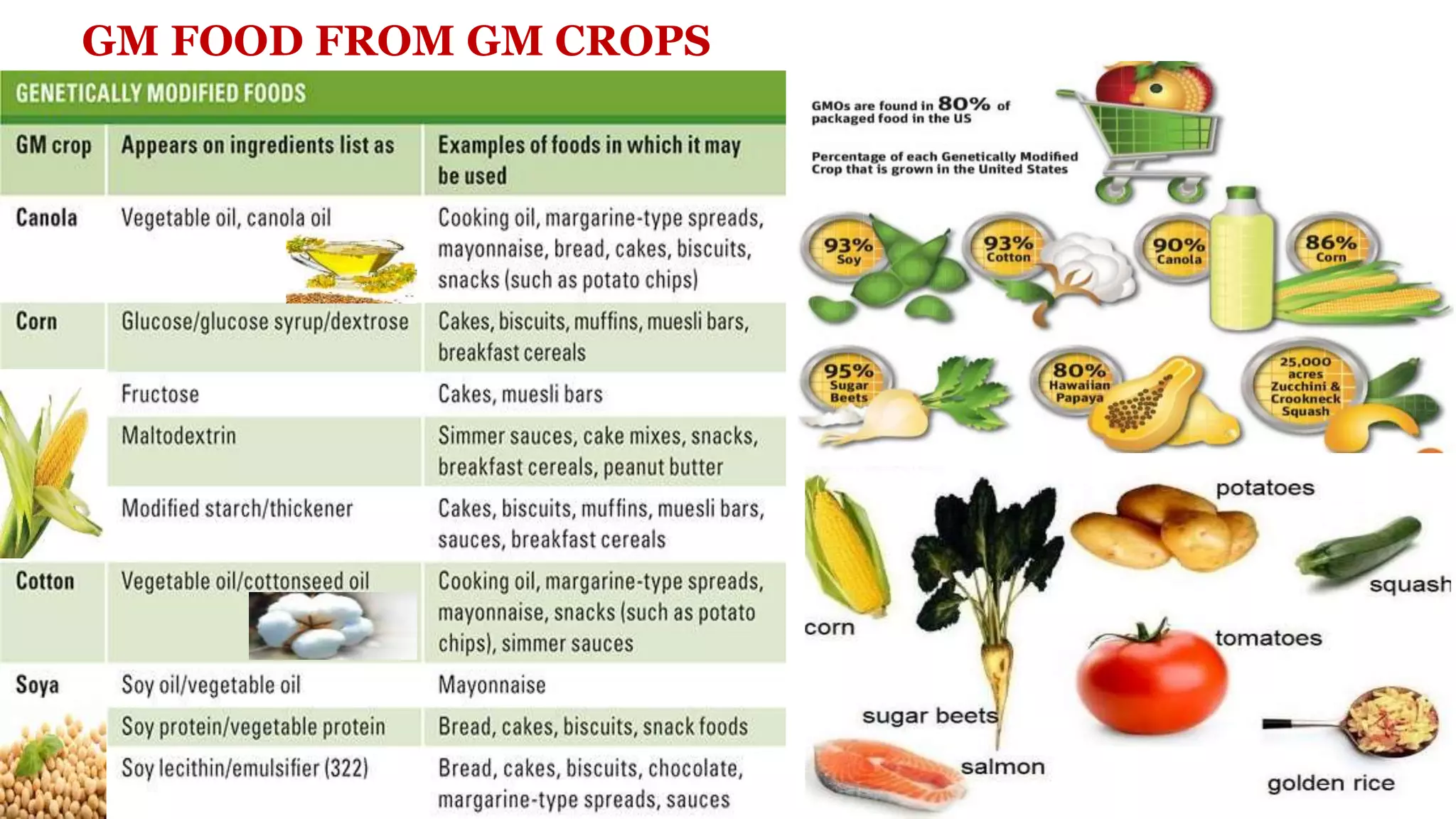 My ppt of gmo | PPTX, image size:2048x1152