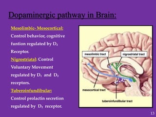 Dopaminergic pathway in Brain:
Mesolimbic- Mesocortical:
Control behavior, cognitive
funtion regulated by D₂
Receptor.
Nigrostriatal: Control
Voluntary Movement
regulated by D₁ and D₂
receptors.
Tuberoinfundibular:
Control prolactin secretion
regulated by D₂ receptor.
13
 