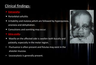 Clinical findings-
 Extraorally-
 Periorbital cellulitis
 Irritability and malaise,which are followed by hyperpyrexia,
anorexia and dehydration.
 Convulsions and vomiting may occur.
 Intra-orally-
 Maxilla on the affected side is swollen both bucally and
palatally, especially in the molar region.
• Fluctuance is often present and fistulas may exist in the
alveolar mucosa.
• Leucocytosis is generally present.
 