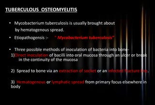 TUBERCULOUS OSTEOMYELITIS
• Mycobacterium tuberculosis is usually brought about
by hematogenous spread.
• Etiopathogensis :- “ Mycobacterium tuberculosis”
• Three possible methods of inoculation of bacteria into bone-
1)Direct inoculation of bacilli into oral mucosa through an ulcer or break
in the continuity of the mucosa
2) Spread to bone via an extraction of socket or an infected fracture line.
3) Hematogenous or lymphatic spread from primary focus elsewhere in
body
 