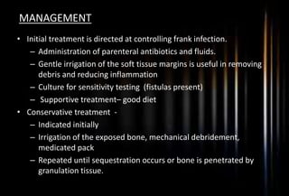 MANAGEMENT
• Initial treatment is directed at controlling frank infection.
– Administration of parenteral antibiotics and fluids.
– Gentle irrigation of the soft tissue margins is useful in removing
debris and reducing inflammation
– Culture for sensitivity testing (fistulas present)
– Supportive treatment– good diet
• Conservative treatment -
– Indicated initially
– Irrigation of the exposed bone, mechanical debridement,
medicated pack
– Repeated until sequestration occurs or bone is penetrated by
granulation tissue.
 