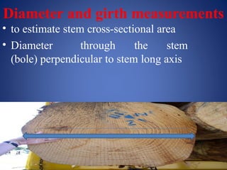 Diameter and girth measurements
• to estimate stem cross-sectional area
• Diameter through the stem
(bole) perpendicular to stem long axis
 