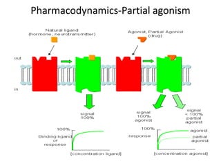 Pharmacodynamics-Partial agonism
 