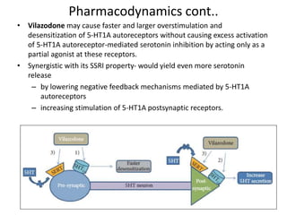Pharmacodynamics cont..
• Vilazodone may cause faster and larger overstimulation and
desensitization of 5-HT1A autoreceptors without causing excess activation
of 5-HT1A autoreceptor-mediated serotonin inhibition by acting only as a
partial agonist at these receptors.
• Synergistic with its SSRI property- would yield even more serotonin
release
– by lowering negative feedback mechanisms mediated by 5-HT1A
autoreceptors
– increasing stimulation of 5-HT1A postsynaptic receptors.
 