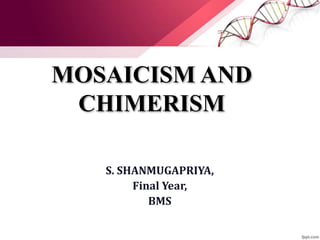 MOSAICISM AND
CHIMERISM
S. SHANMUGAPRIYA,
Final Year,
Biomedical sciences,
Sri ramachandra university.
 