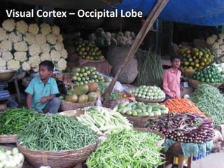 MediaAnalyser Software & Research10.85%