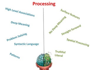 Superior Colliculus – Midbrain Tectum