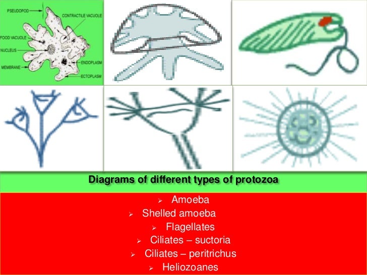 download Radiologische Analyse