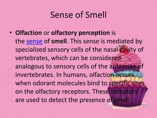 Sense of Smell
• Olfaction or olfactory perception is
the sense of smell. This sense is mediated by
specialized sensory cells of the nasal cavity of
vertebrates, which can be considered
analogous to sensory cells of the antennae of
invertebrates. In humans, olfaction occurs
when odorant molecules bind to specific sites
on the olfactory receptors. These receptors
are used to detect the presence of smell
 