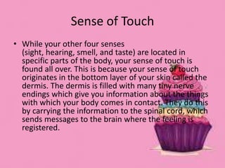 Sense of Touch
• While your other four senses
(sight, hearing, smell, and taste) are located in
specific parts of the body, your sense of touch is
found all over. This is because your sense of touch
originates in the bottom layer of your skin called the
dermis. The dermis is filled with many tiny nerve
endings which give you information about the things
with which your body comes in contact. They do this
by carrying the information to the spinal cord, which
sends messages to the brain where the feeling is
registered.
 