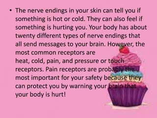 • The nerve endings in your skin can tell you if
something is hot or cold. They can also feel if
something is hurting you. Your body has about
twenty different types of nerve endings that
all send messages to your brain. However, the
most common receptors are
heat, cold, pain, and pressure or touch
receptors. Pain receptors are probably the
most important for your safety because they
can protect you by warning your brain that
your body is hurt!
 