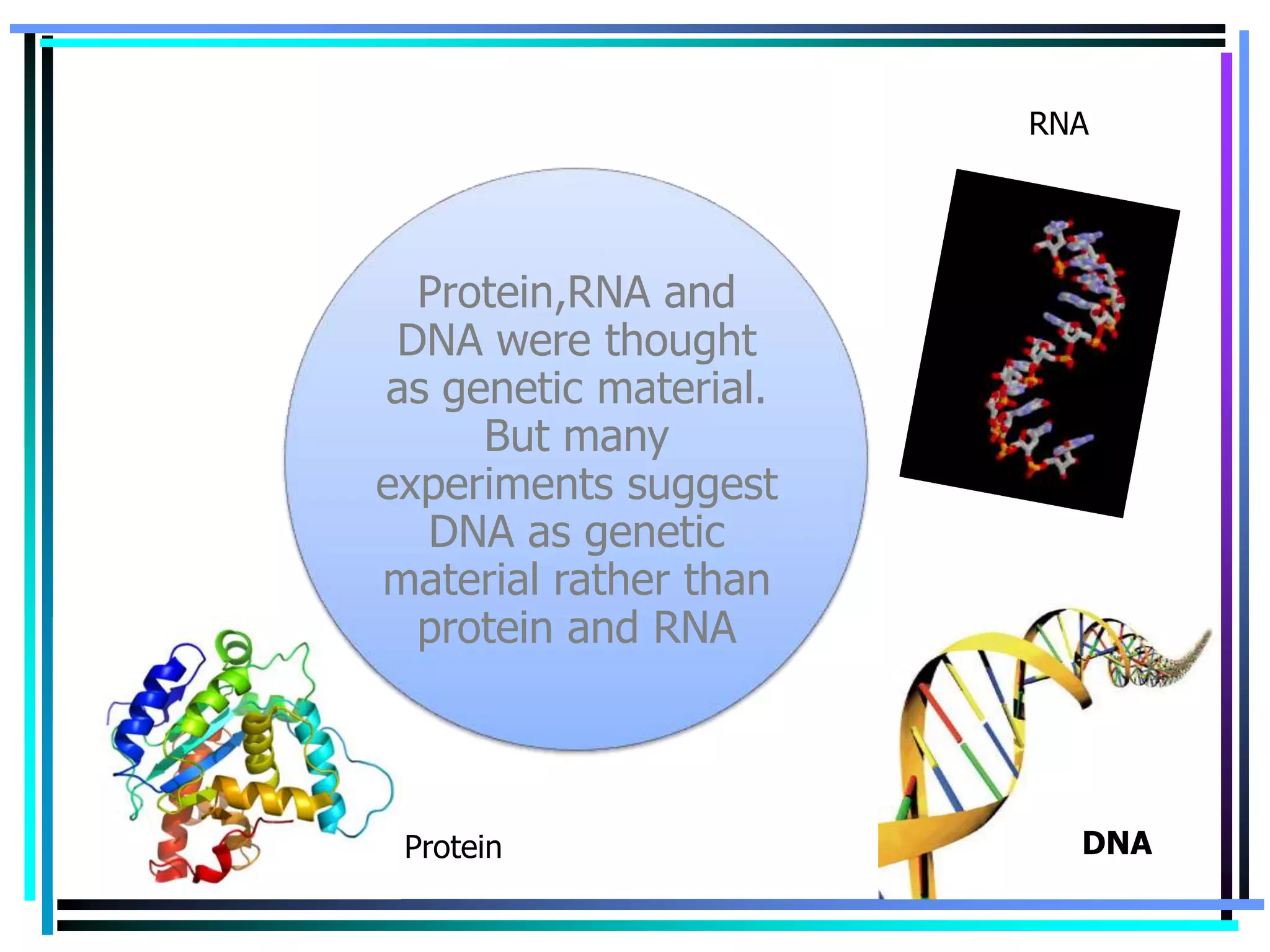 Continue…

RNA

Protein,RNA and
DNA were thought
as genetic material.
But many
experiments suggest
DNA as genetic
material rather than
protein and RNA

Protein

DNA

 