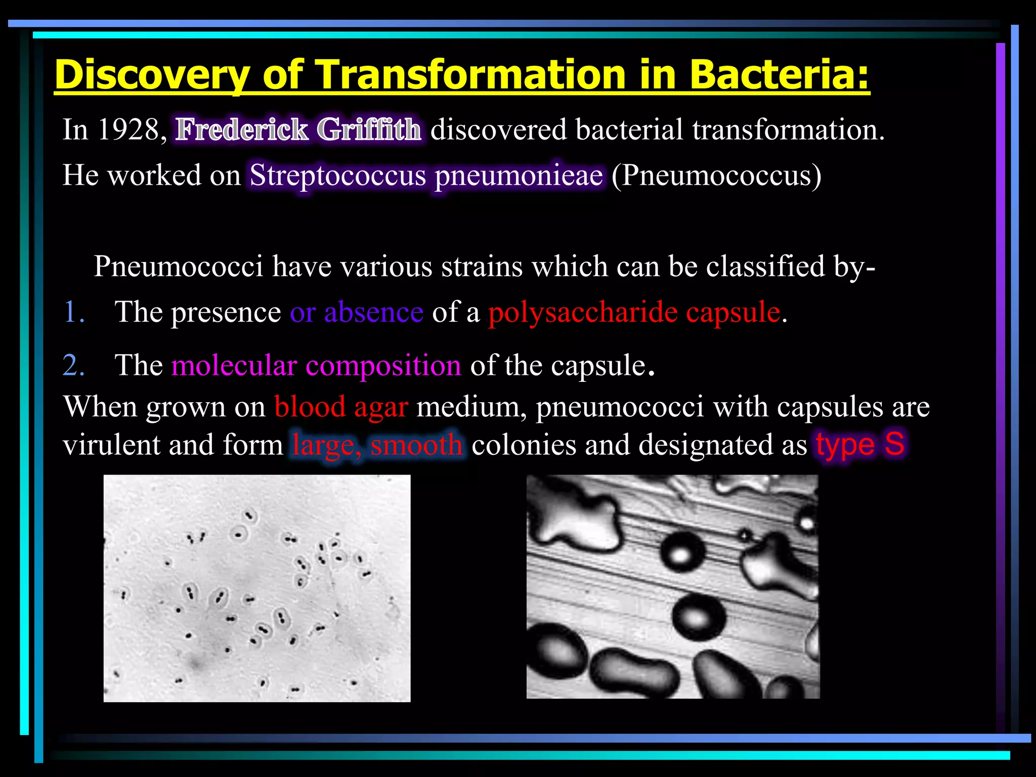 Discovery of Transformation in Bacteria:
In 1928,
discovered bacterial transformation.
He worked on Streptococcus pneumonieae (Pneumococcus)

Pneumococci have various strains which can be classified by1. The presence or absence of a polysaccharide capsule.
2. The molecular composition of the capsule.
When grown on blood agar medium, pneumococci with capsules are
virulent and form large, smooth colonies and designated as type S

 