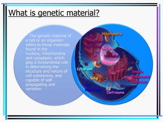 What is genetic material?
The genetic material of
a cell or an organism
refers to those materials
found in the
nucleus, mitochondria
and cytoplasm, which
play a fundamental role
in determining the
structure and nature of
cell substances, and
capable of selfpropagating and
variation.

 