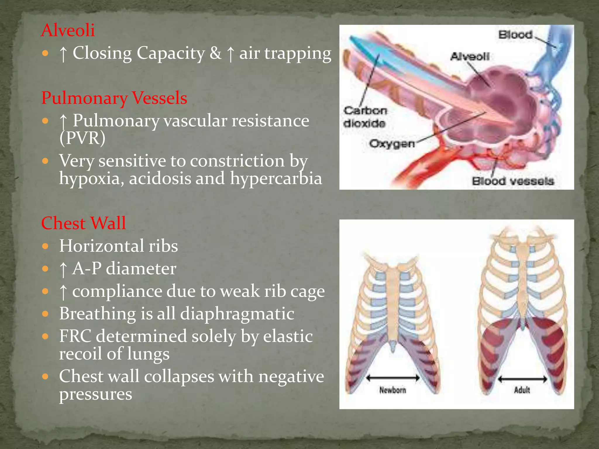 Alveoli
 ↑ Closing Capacity & ↑ air trapping
Pulmonary Vessels
 ↑ Pulmonary vascular resistance
(PVR)
 Very sensitive to constriction by
hypoxia, acidosis and hypercarbia
Chest Wall
 Horizontal ribs
 ↑ A-P diameter
 ↑ compliance due to weak rib cage
 Breathing is all diaphragmatic
 FRC determined solely by elastic
recoil of lungs
 Chest wall collapses with negative
pressures
 