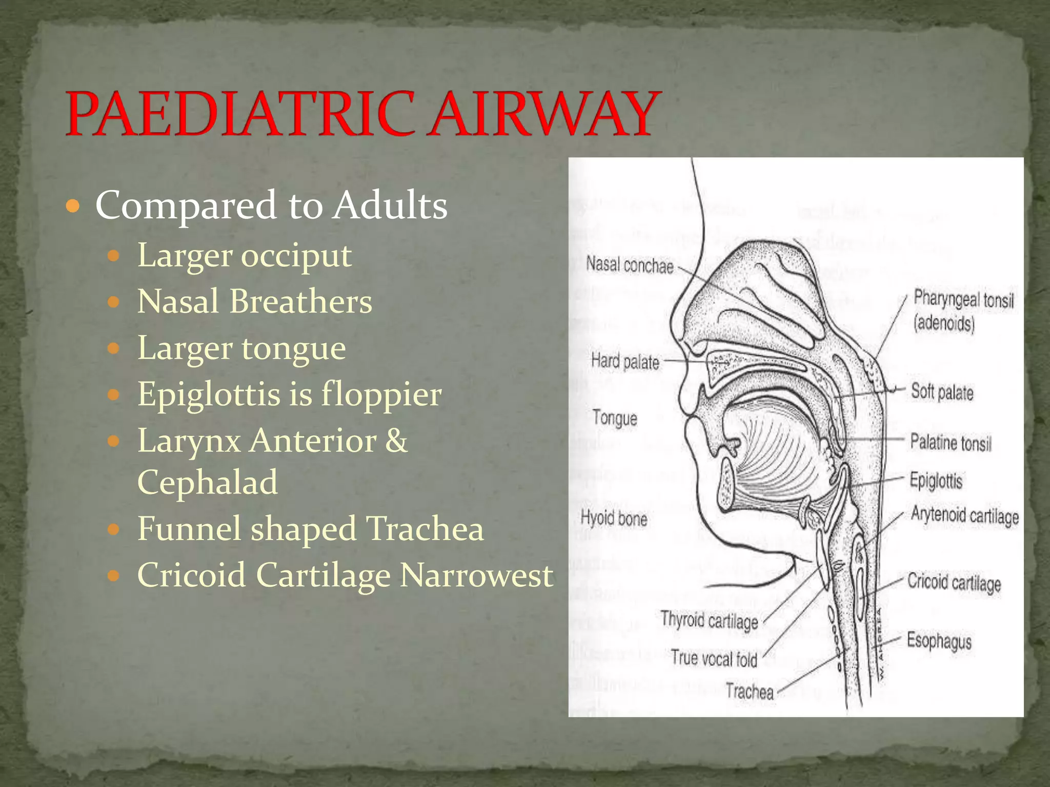  Compared to Adults
 Larger occiput
 Nasal Breathers
 Larger tongue
 Epiglottis is floppier
 Larynx Anterior &
Cephalad
 Funnel shaped Trachea
 Cricoid Cartilage Narrowest
 