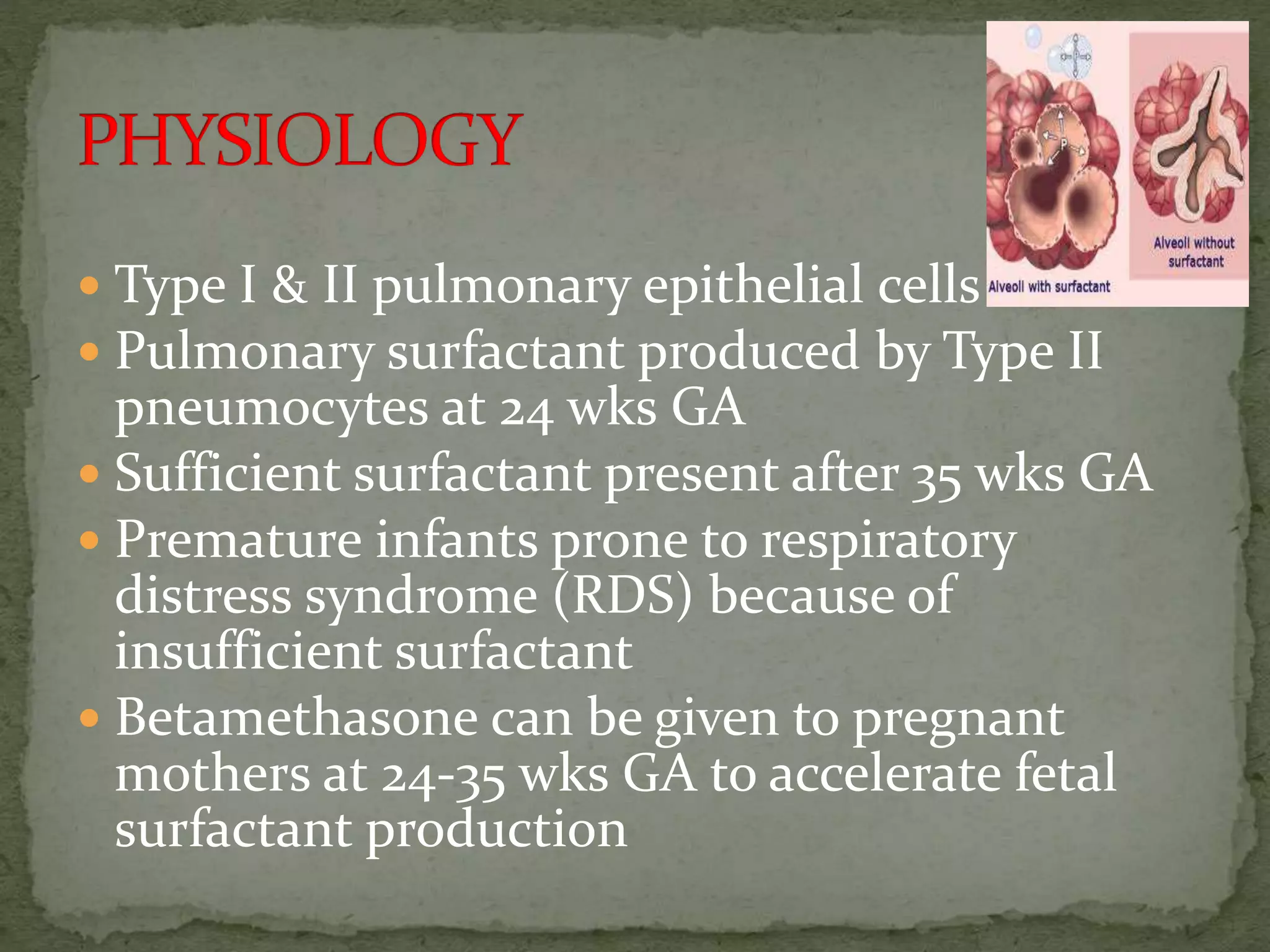  Type I & II pulmonary epithelial cells
 Pulmonary surfactant produced by Type II
pneumocytes at 24 wks GA
 Sufficient surfactant present after 35 wks GA
 Premature infants prone to respiratory
distress syndrome (RDS) because of
insufficient surfactant
 Betamethasone can be given to pregnant
mothers at 24-35 wks GA to accelerate fetal
surfactant production
 