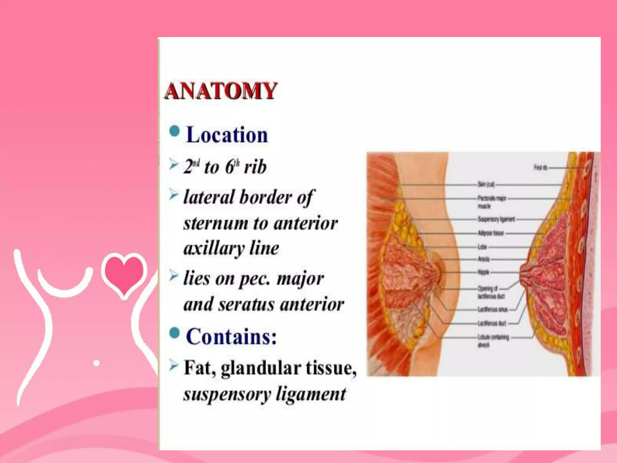 Left Rbeast Quadrants anatomy of breast | PPTX