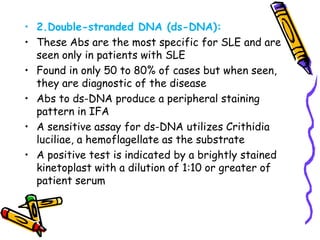 Sle Pattern Periphiral Rim Fana Autoimmunity and autoimmune disorders | PPTX