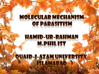 Molecular Mechanism Of Parasitism
    Hamid-Ur-Rahman, M.Phil Ist
 