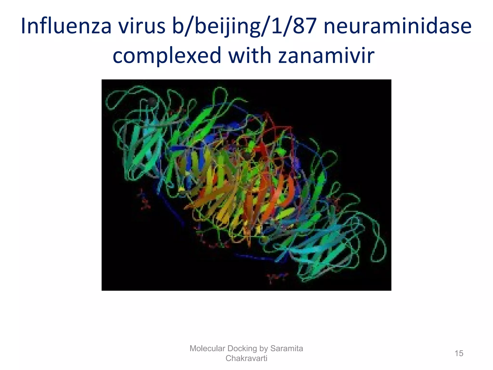 Influenza virus b/beijing/1/87 neuraminidase
complexed with zanamivir
15
Molecular Docking by Saramita
Chakravarti
 