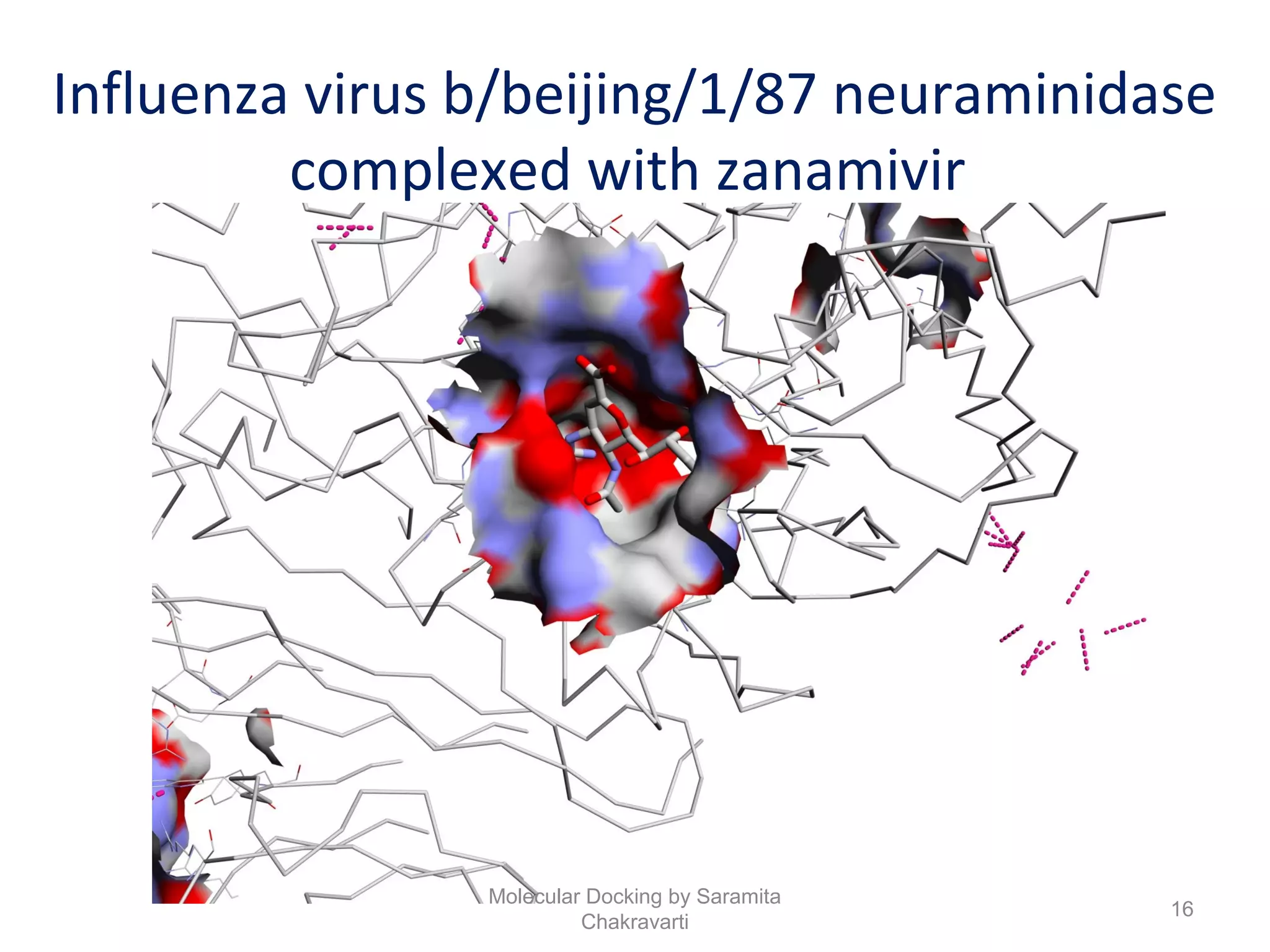 Influenza virus b/beijing/1/87 neuraminidase
complexed with zanamivir
16
Molecular Docking by Saramita
Chakravarti
 