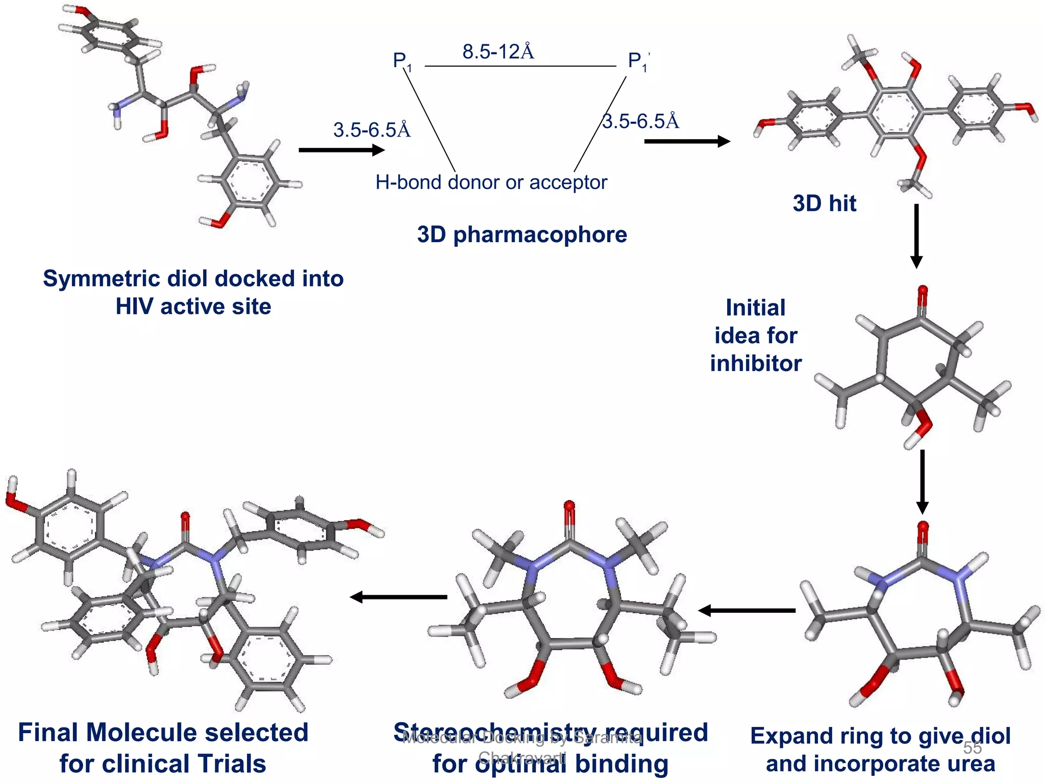 P1
’
P1
H-bond donor or acceptor
3.5-6.5Å 3.5-6.5Å
8.5-12Å
Symmetric diol docked into
HIV active site
3D pharmacophore
3D hit
Initial
idea for
inhibitor
Expand ring to give diol
and incorporate urea
Stereochemistry required
for optimal binding
Final Molecule selected
for clinical Trials
55
Molecular Docking by Saramita
Chakravarti
 