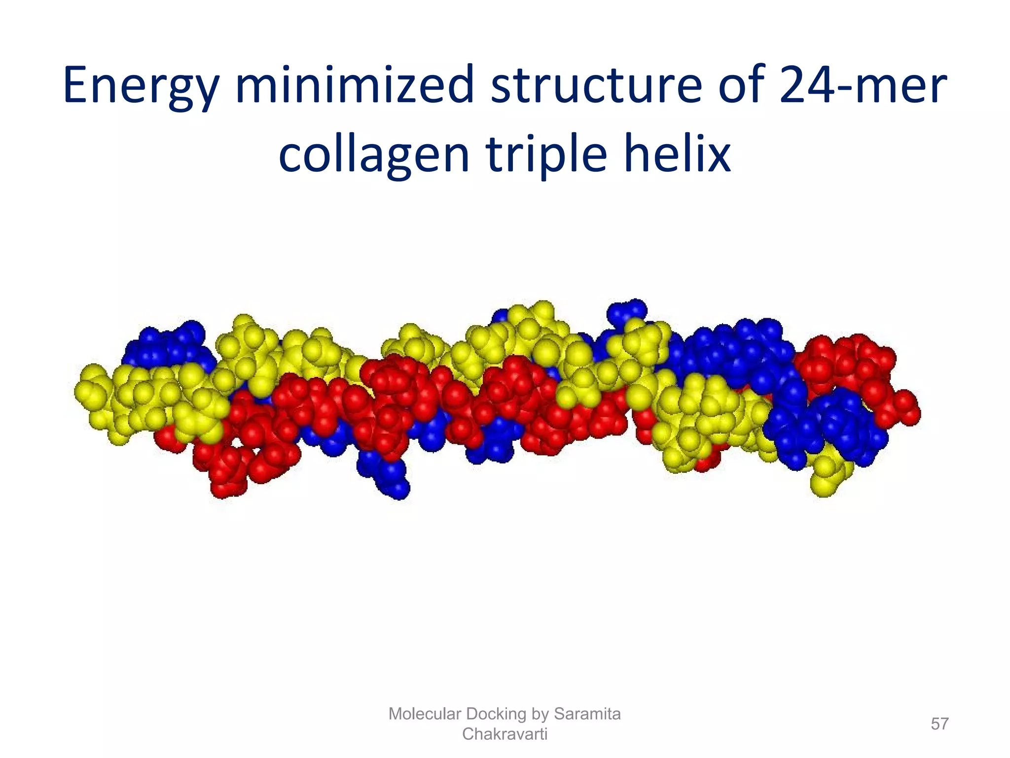 Energy minimized structure of 24-mer
collagen triple helix
57
Molecular Docking by Saramita
Chakravarti
 