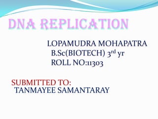DNA REPLICATION
LOPAMUDRA MOHAPATRA
B.Sc(BIOTECH) 3rd yr
ROLL NO:11303
SUBMITTED TO:
TANMAYEE SAMANTARAY

 